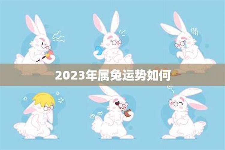 2026兔子5月份运势如何？