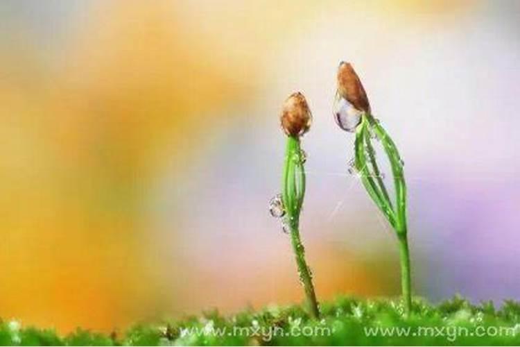 梦见表哥死了是什么意思？