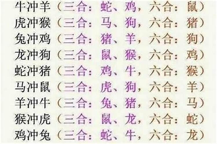 生肖属虎和属龙八字合吗？