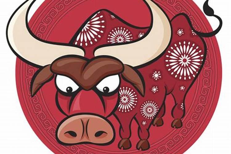 女属牛婚配哪个属相最好？