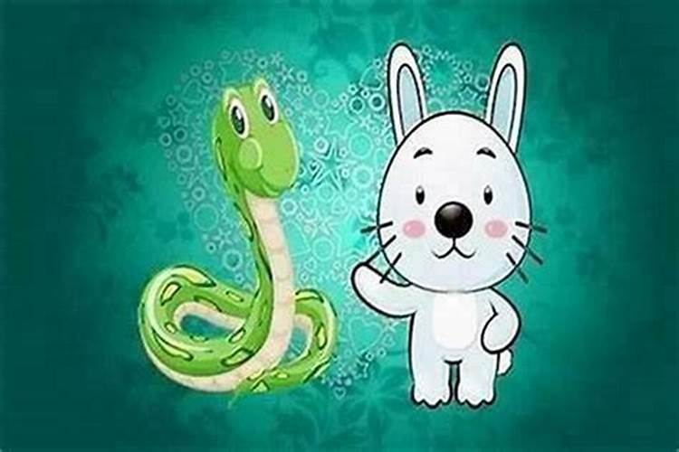 属蛇女属兔的女合婚吗？