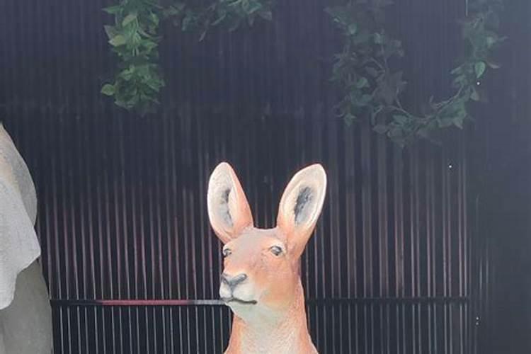 属狗2026年下半年婚姻运势