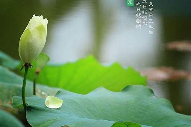 立夏的风俗讲究