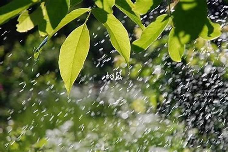 梦到下雨涨水了是什么预兆？