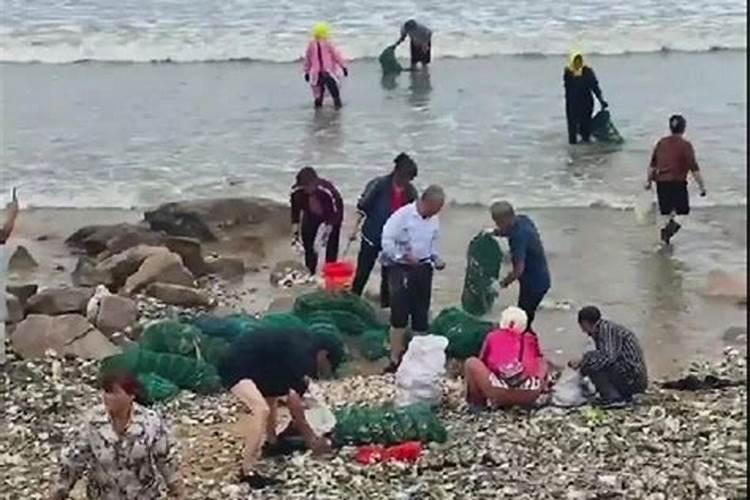 梦见大海涨潮捡海鲜怎么回事啊？