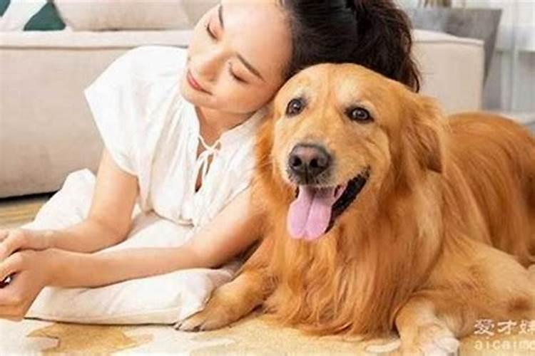 梦见狗的七大预兆