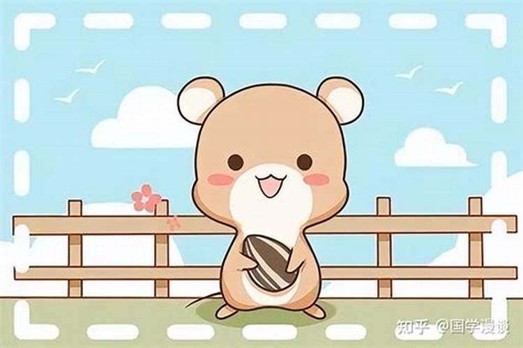 男属鼠和女属鸡合婚吗？