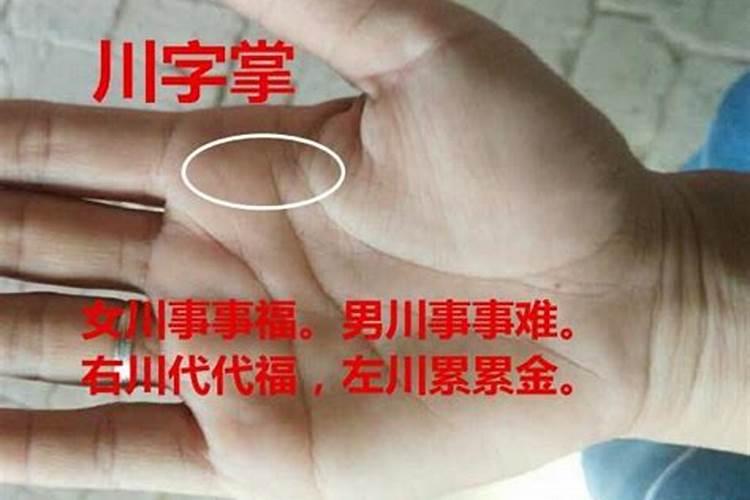 2026年下半年女生川字掌运程