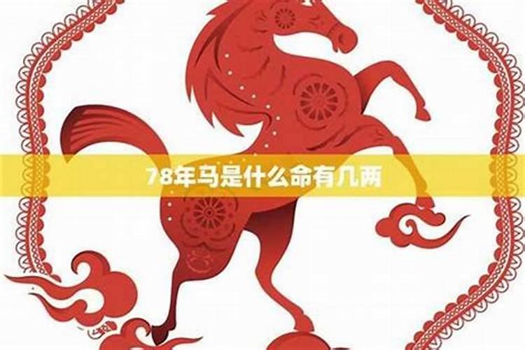 78年马是什么命？