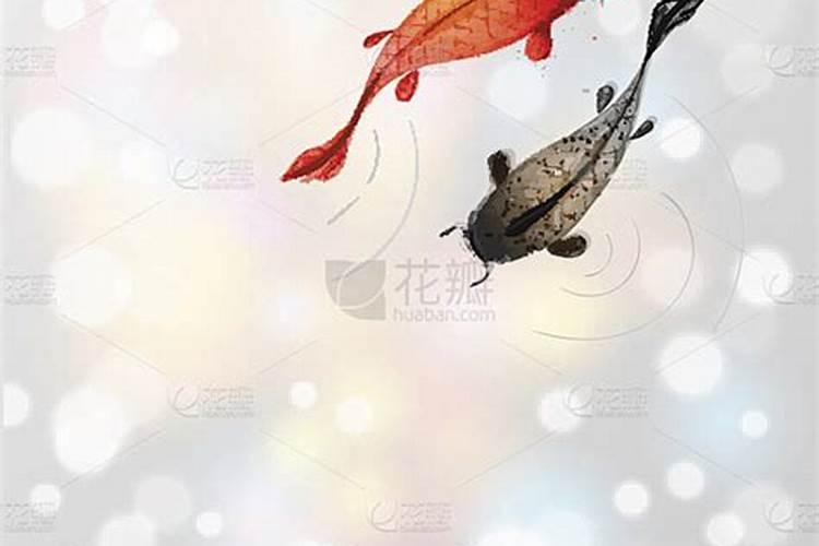 梦见红色鲤鱼和黑色鲤鱼