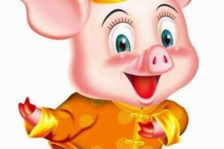 属猪24岁下半年运势