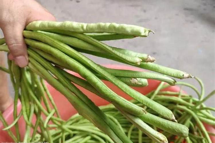 梦见豆角是什么意思？