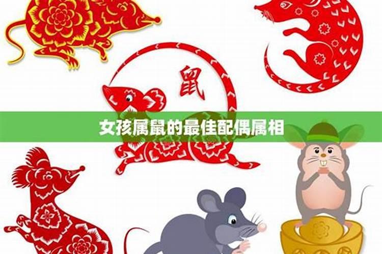 鼠和哪些属相合婚？