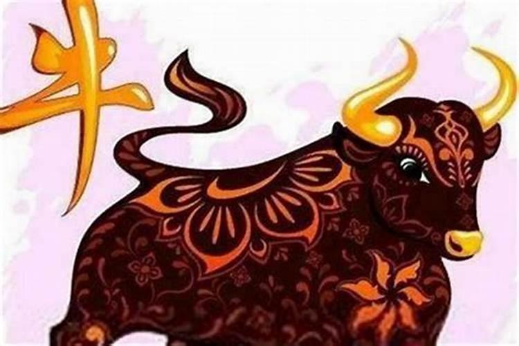 女属猪和什么属相婚配？