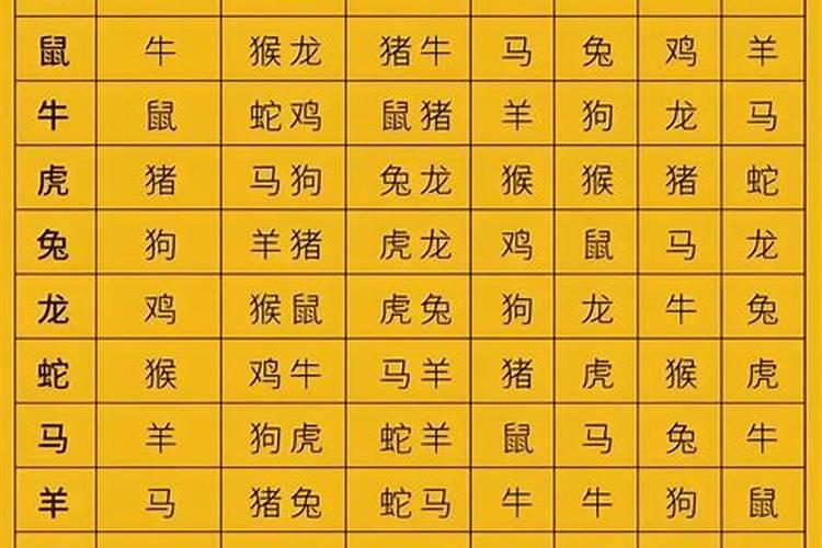 十二生肖冲太岁啥意思？