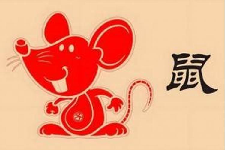 属虎的在鼠年2026年运程