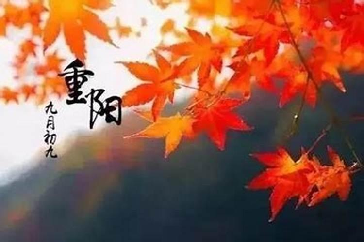 今年重阳节是几日？