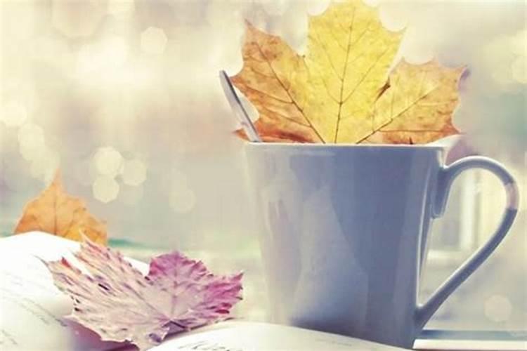 1978年十一月出生女性运程