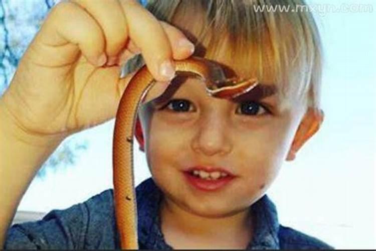 儿子梦见自己被蛇咬是什么意思？