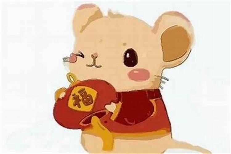 属鼠的人今年下半年运势