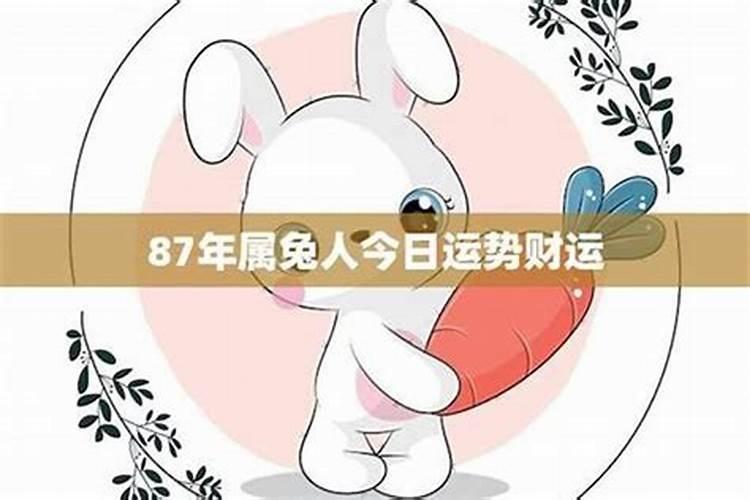 属兔今日运势