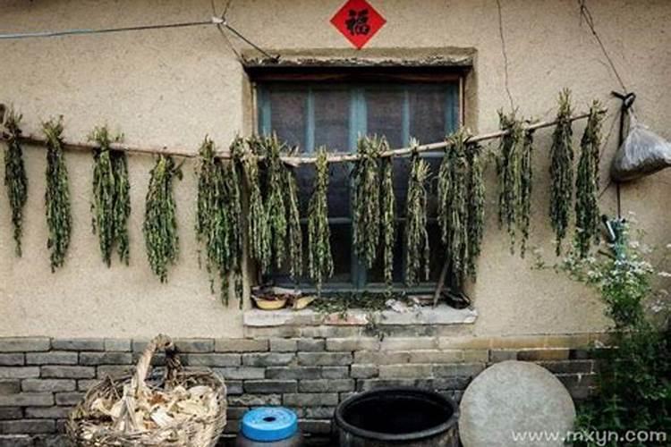 梦见大伯母死了是什么意思？