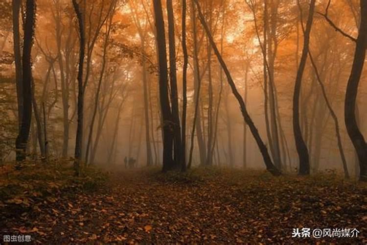 梦见上坟十种最不吉利的梦