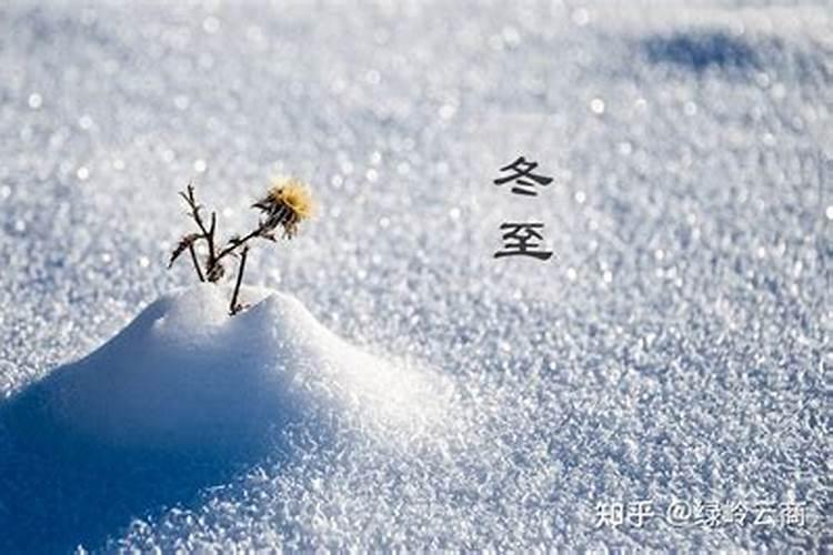 大雪到冬至期间出生