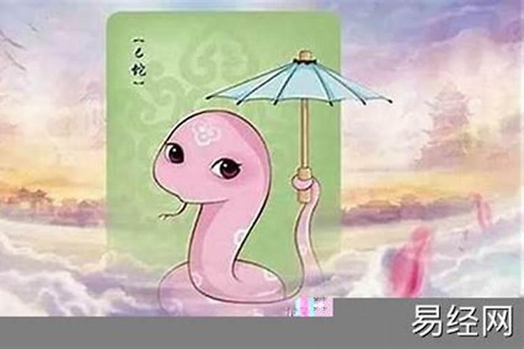 腊月属蛇的命运