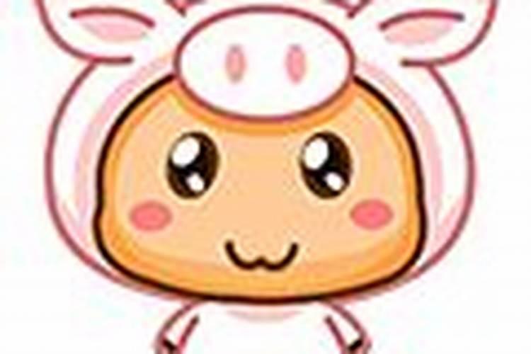 1995年2026年运势运程