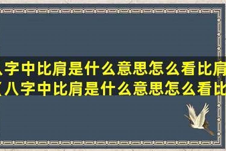 比肩是什么意思白话文？