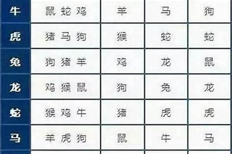 猪和老鼠属相合婚吗？