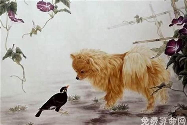 属狗八二年十月初一出生