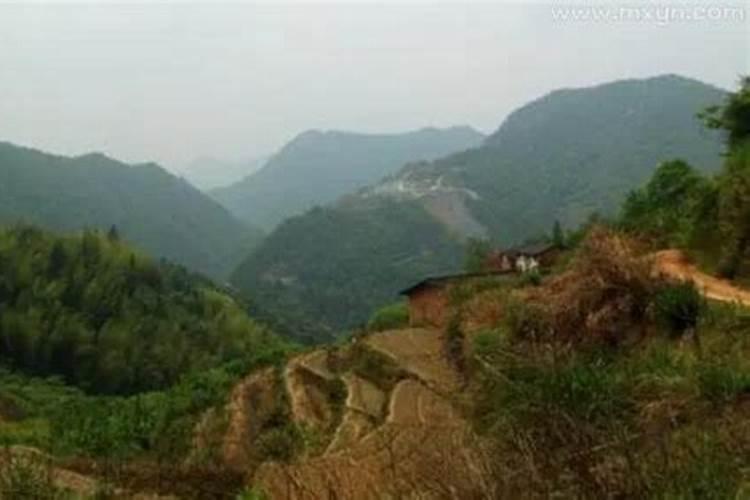 梦见回家的路特别崎岖