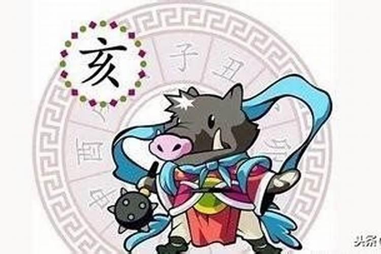 属猪今年12月份运程怎么样？