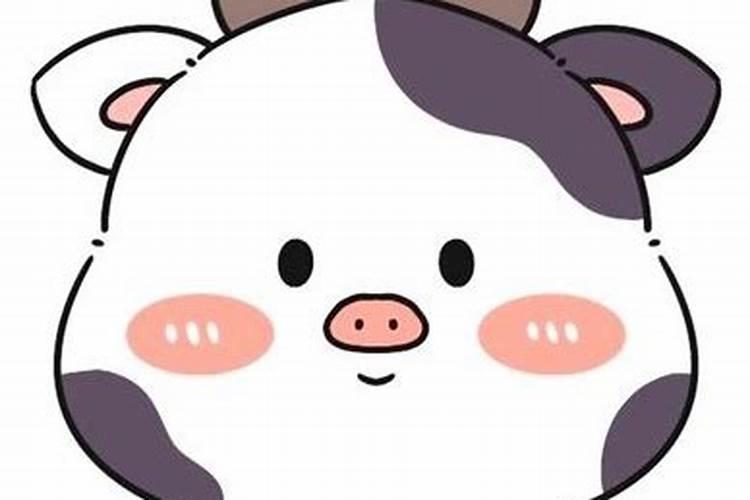 属牛的今年犯太岁吗？2026？