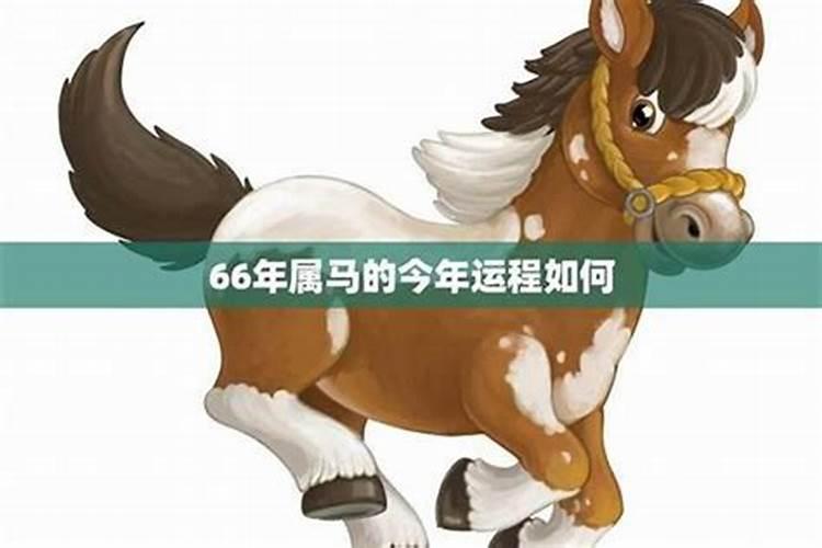 2026年66年生马人运势如何？