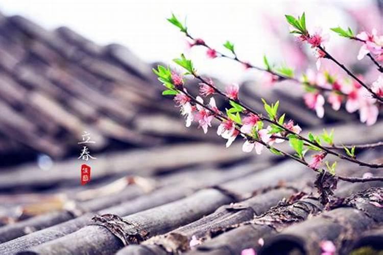 2026年犯太岁躲春几点到几点？