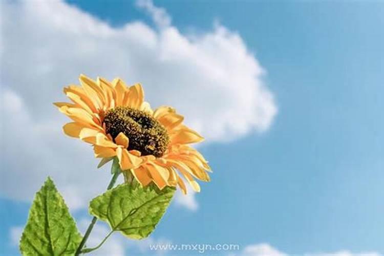 梦见熟人去世是什么征兆？