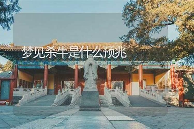 梦见杀牛是什么预兆？