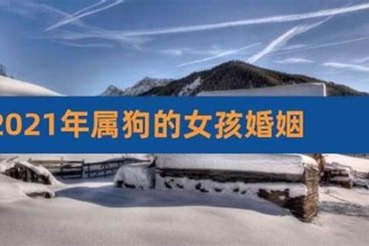 属狗女人2026年下半年爱情运势