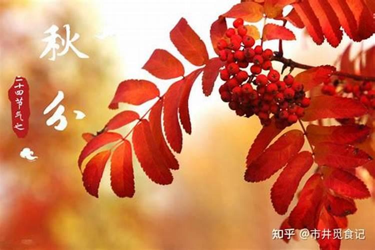 秋分时节民俗有哪些？