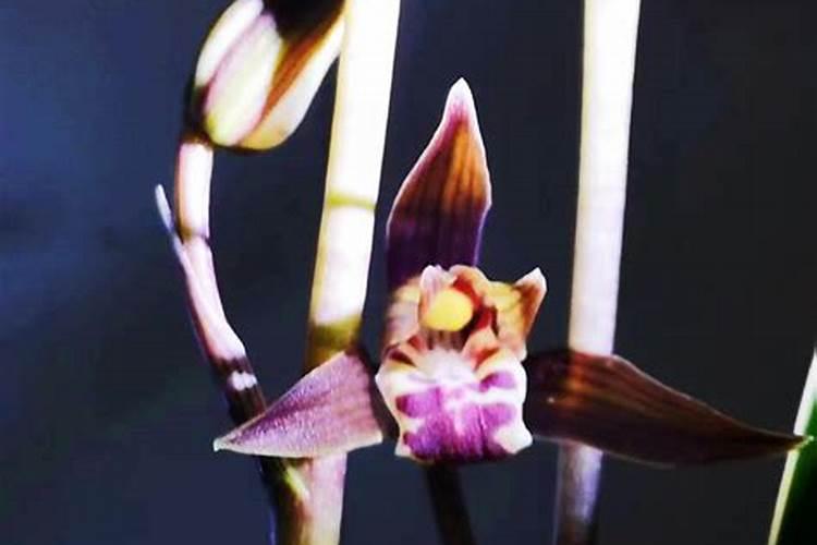 十冬腊月数字几？