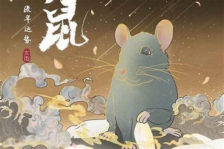 属鼠2026年运势适合什么工作？