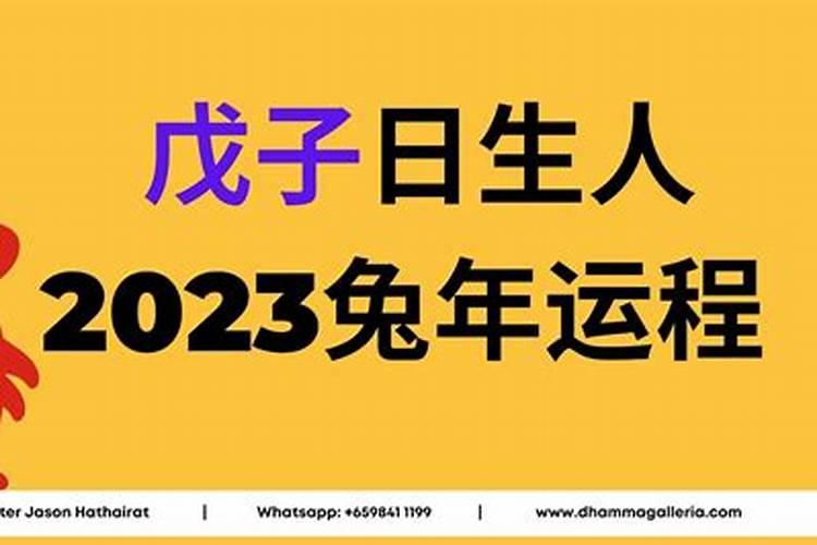 戊子日生人2026年运程