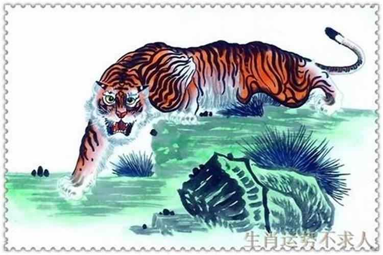 腊月虎的性格与命运