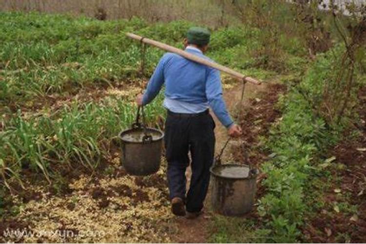 梦见挑大粪是什么意思？