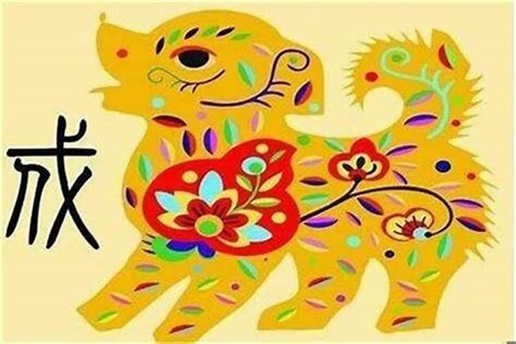 明年狗年什么生肖运势好？