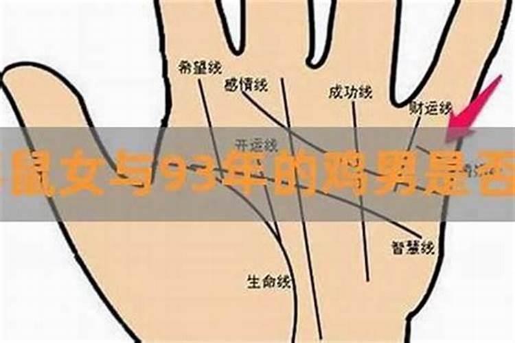 测算男鸡女狗婚姻