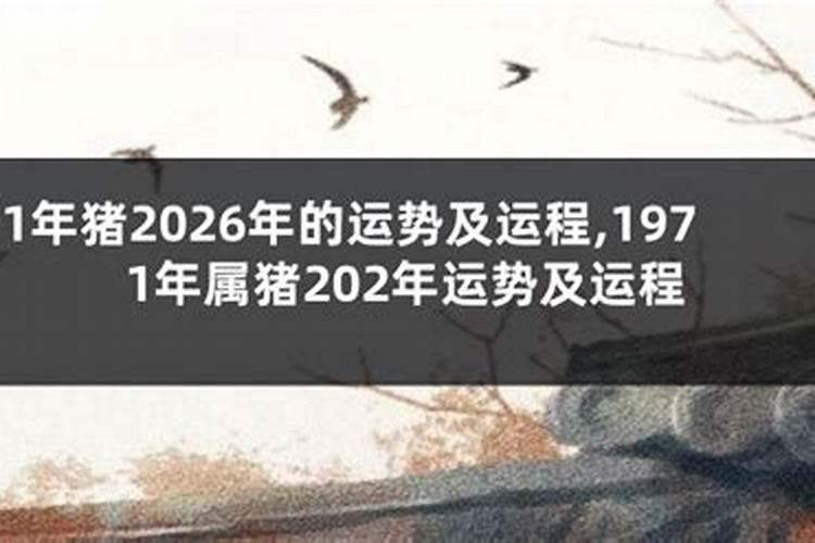 1971年2026年运势及运程